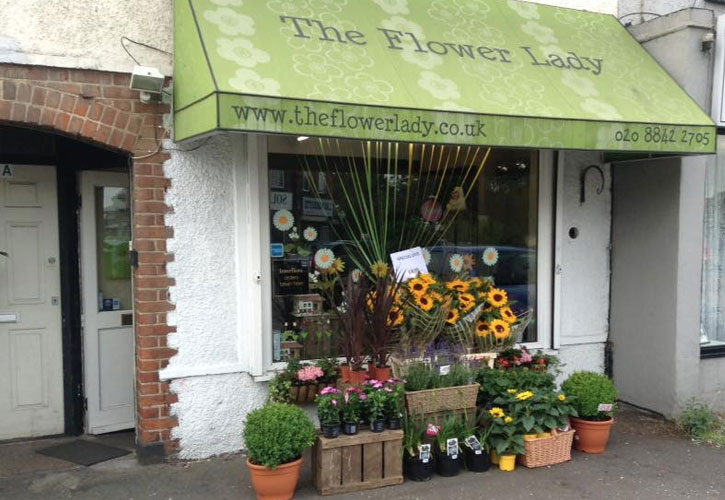 Summer Flowers
